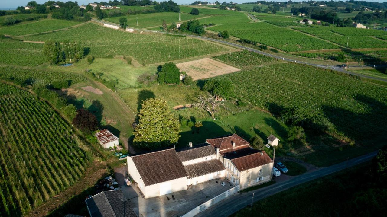 Chambre D'Hote Pres Bordeaux Au Chateau Camponac Bourg-sur-Gironde Dış mekan fotoğraf